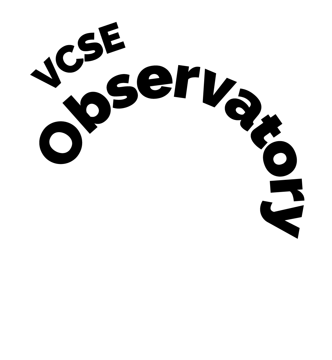 VCSE Observatory Logo
